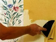 painters in Bronx